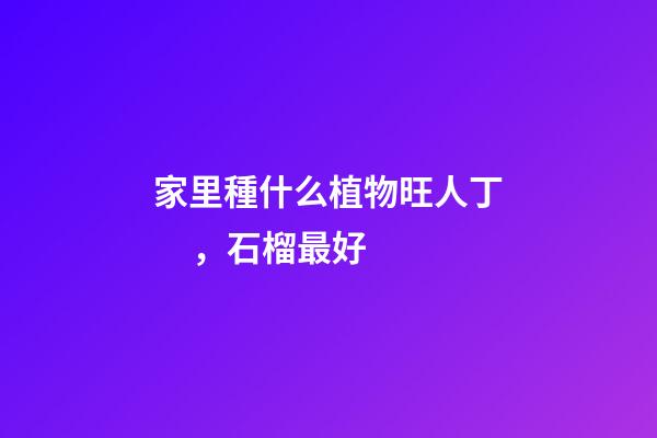 家里種什么植物旺人丁，石榴最好